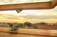 rated West Common roof window companies